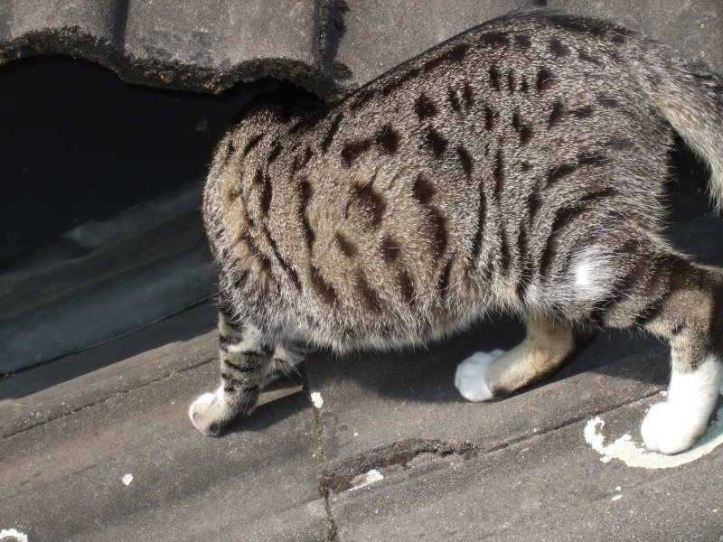 Ostern 2007 Orleshausen 139 